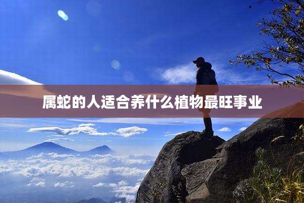 属蛇的人适合养什么植物最旺事业
