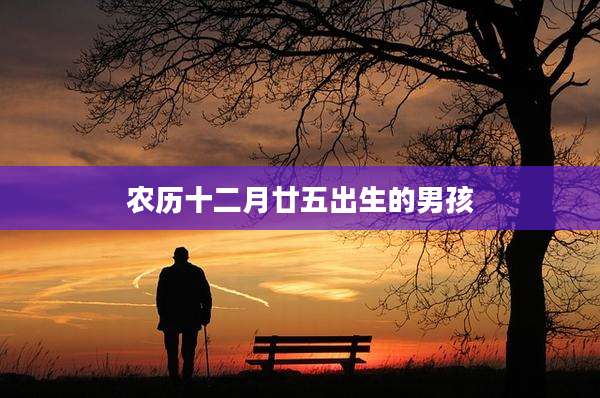 农历十二月廿五出生的男孩