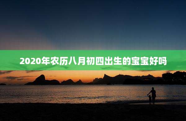 2020年农历八月初四出生的宝宝好吗
