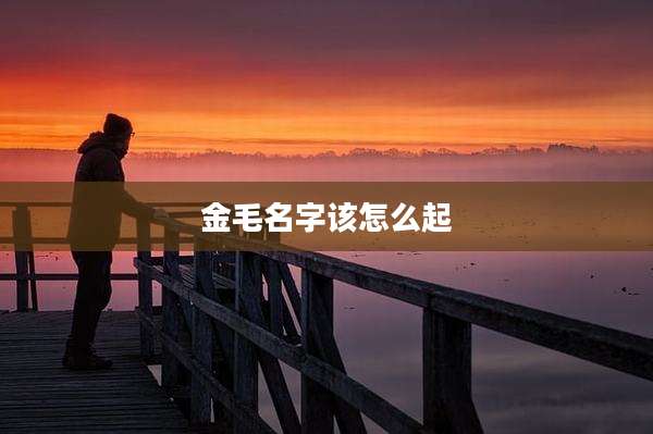 金毛名字该怎么起