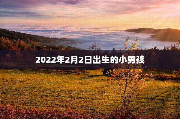 2022年2月2日出生的小男孩