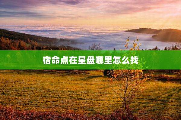 宿命点在星盘哪里怎么找