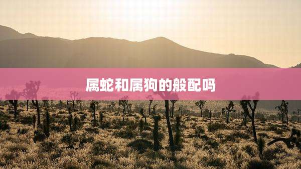属蛇和属狗的般配吗