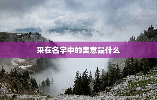 采在名字中的寓意是什么