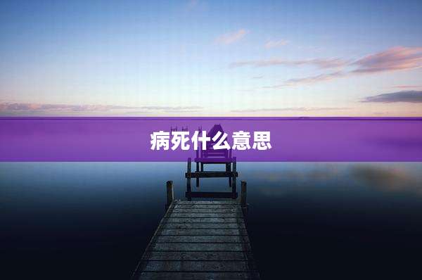 病死什么意思