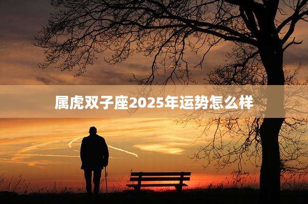 属虎双子座2025年运势怎么样