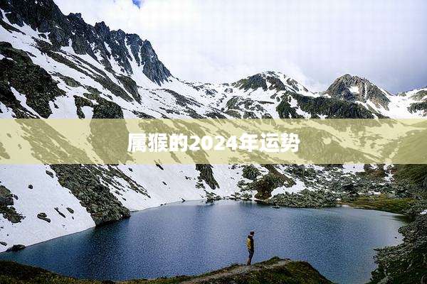 属猴的2024年运势