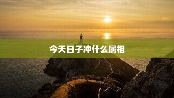 今天日子冲什么属相