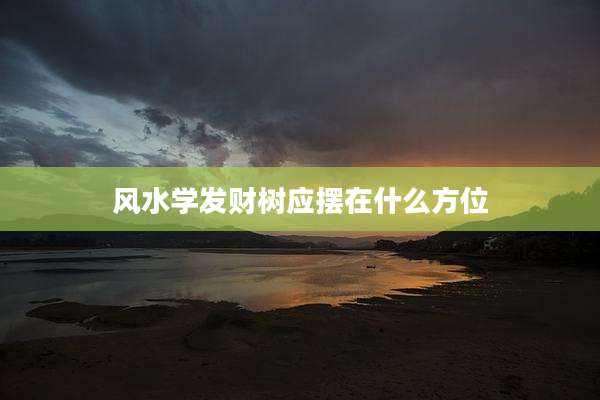 风水学发财树应摆在什么方位