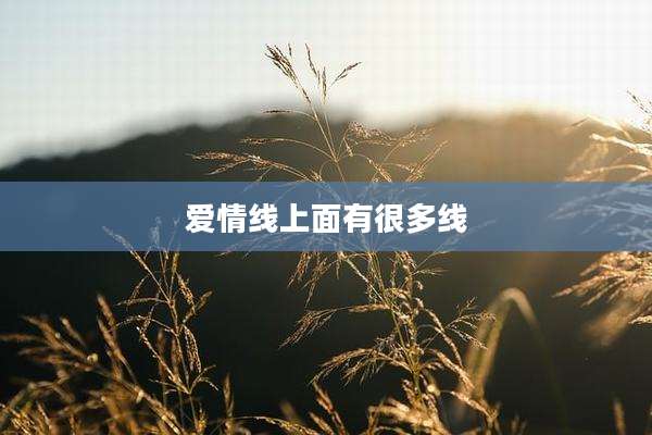 爱情线上面有很多线