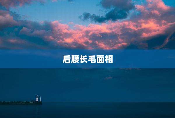 后腰长毛面相