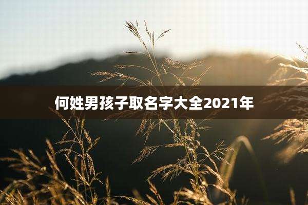 何姓男孩子取名字大全2021年