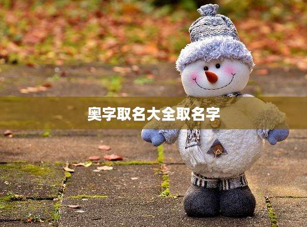 奥字取名大全取名字