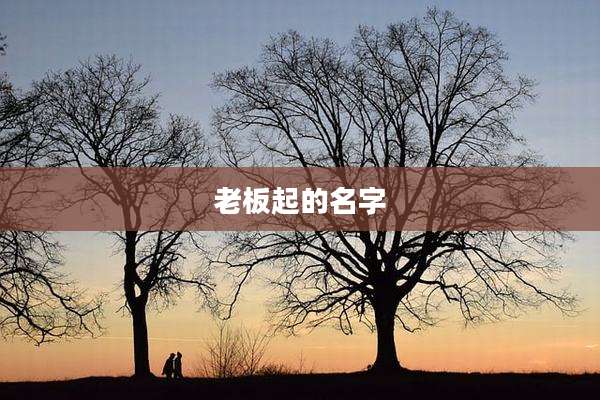 老板起的名字