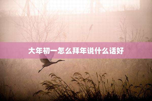 大年初一怎么拜年说什么话好