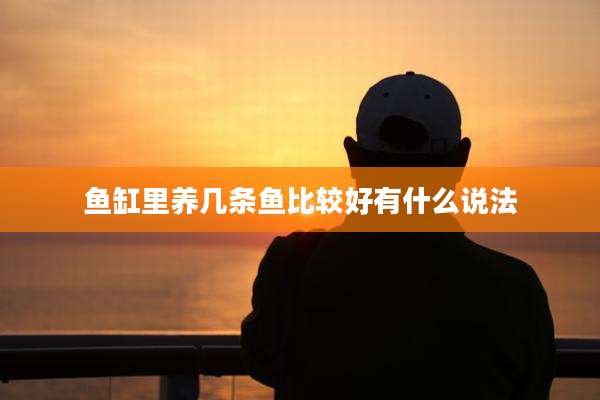 鱼缸里养几条鱼比较好有什么说法