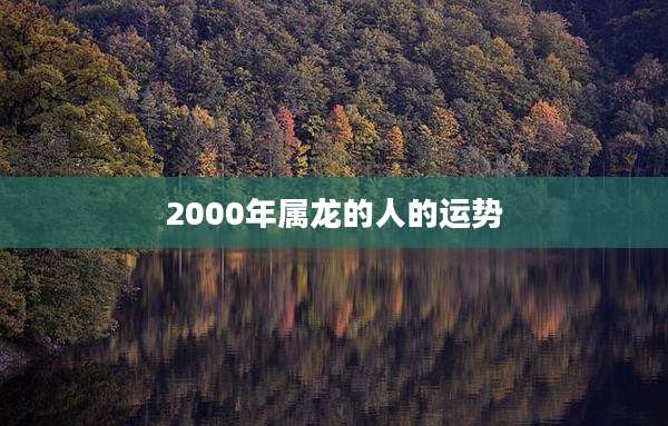2000年属龙的人的运势