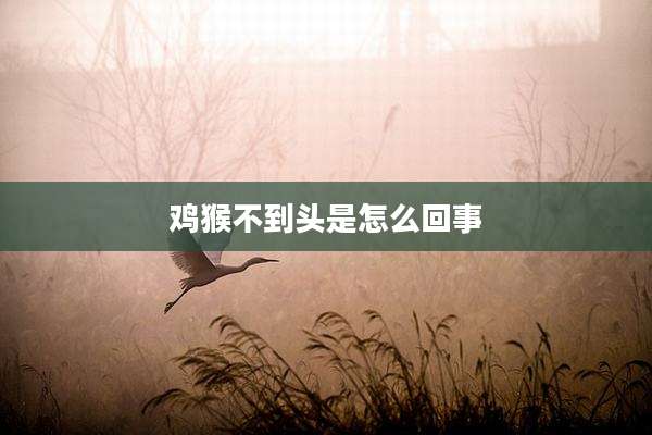 鸡猴不到头是怎么回事