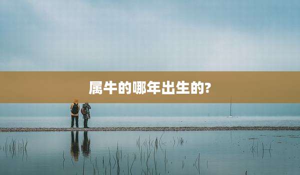 属牛的哪年出生的?