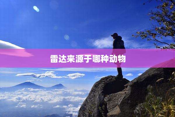 雷达来源于哪种动物