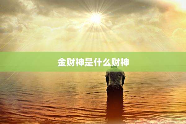金财神是什么财神