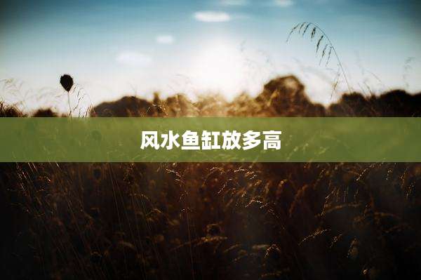 风水鱼缸放多高