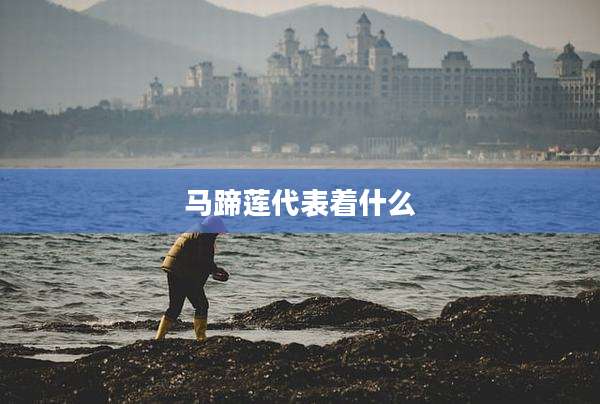 马蹄莲代表着什么