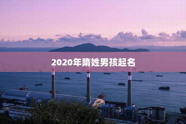 2020年隋姓男孩起名