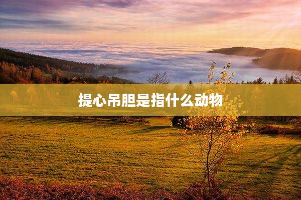 提心吊胆是指什么动物