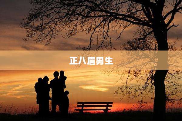 正八眉男生