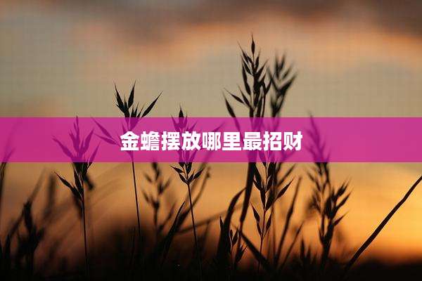金蟾摆放哪里最招财