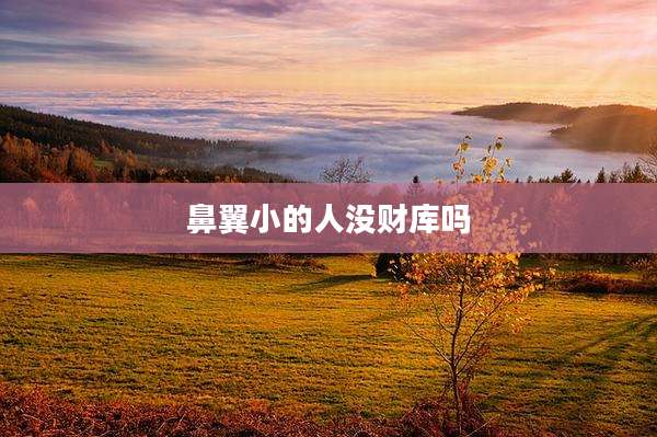 鼻翼小的人没财库吗