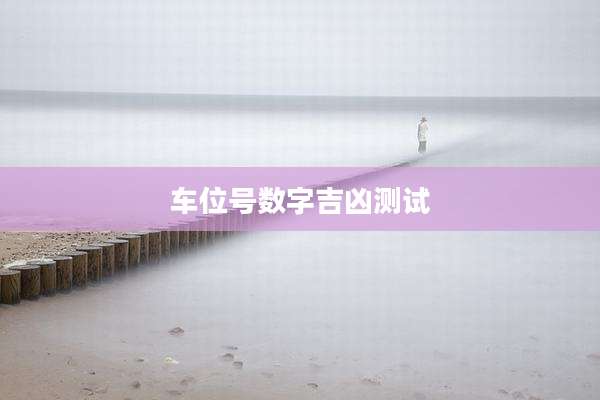 车位号数字吉凶测试