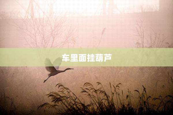车里面挂葫芦