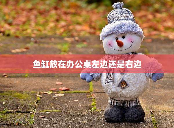 鱼缸放在办公桌左边还是右边