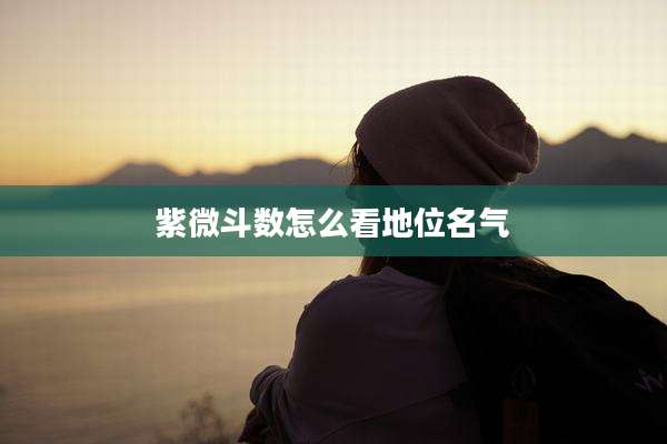 紫微斗数怎么看地位名气