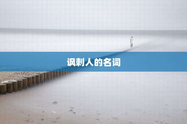 讽刺人的名词