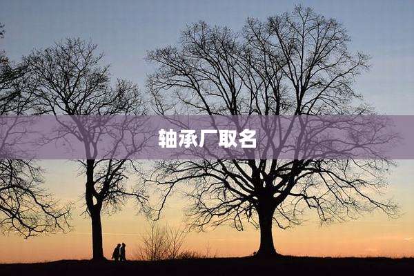 轴承厂取名