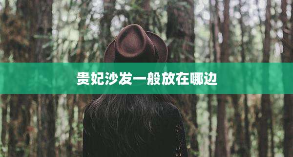 贵妃沙发一般放在哪边