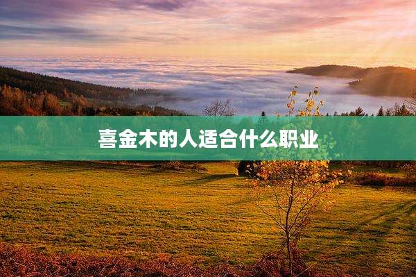 喜金木的人适合什么职业