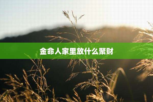 金命人家里放什么聚财