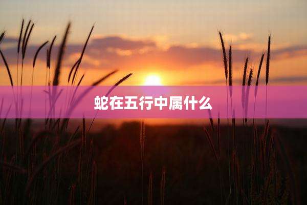 蛇在五行中属什么