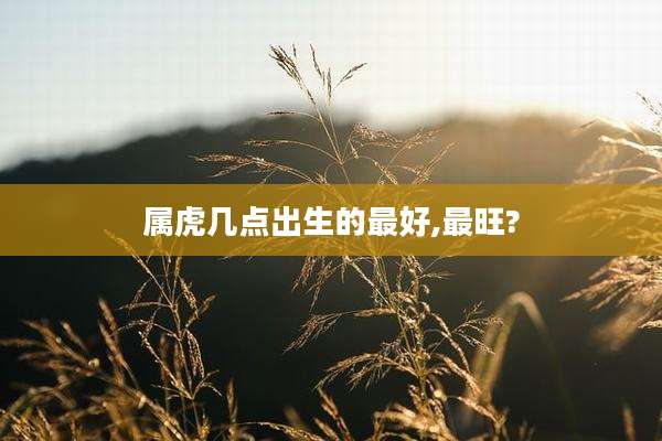 属虎几点出生的最好,最旺?