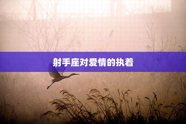 射手座对爱情的执着