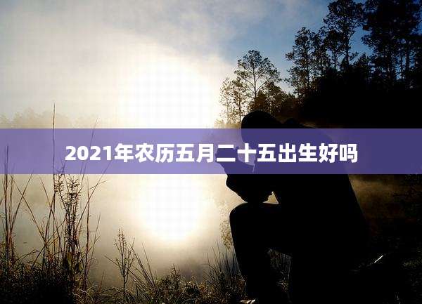 2021年农历五月二十五出生好吗