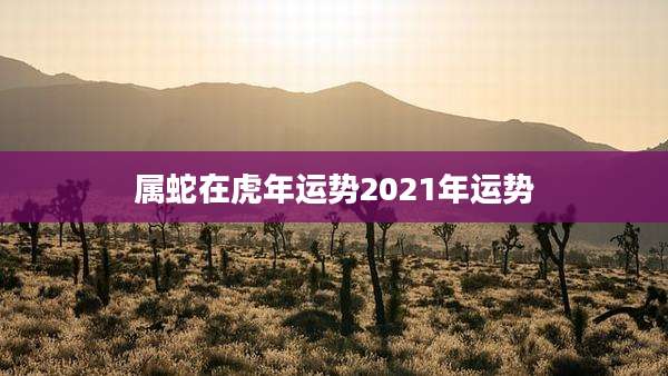 属蛇在虎年运势2021年运势