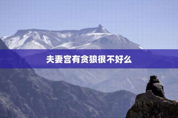 夫妻宫有贪狼很不好么