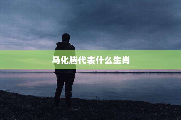 马化腾代表什么生肖