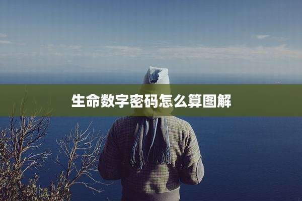 生命数字密码怎么算图解