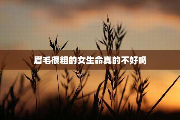 眉毛很粗的女生命真的不好吗